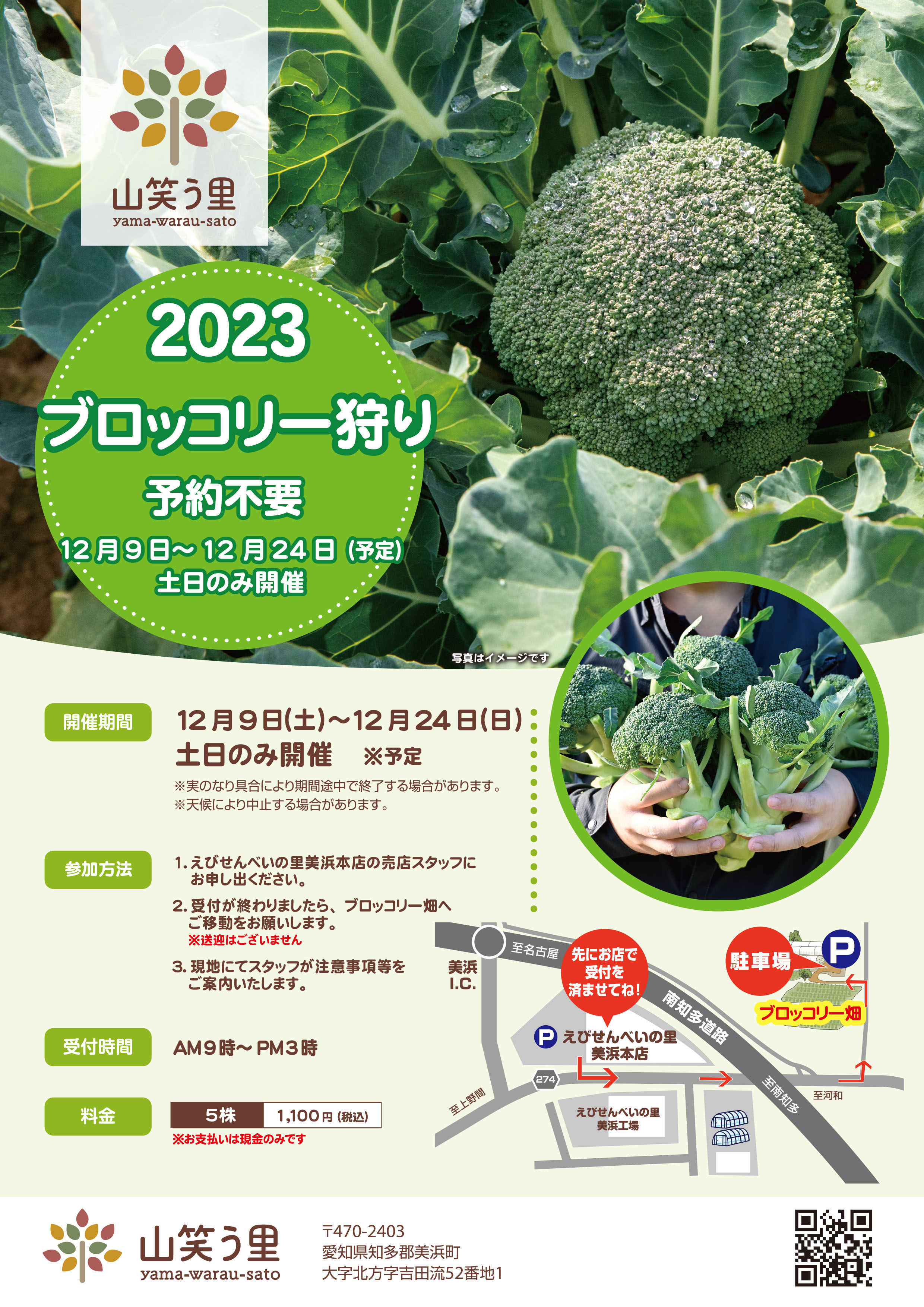 12月9日～ブロッコリー狩り開催！ - 山笑う里